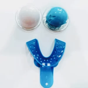 Dental impression mold kit